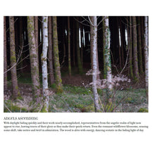 Load image into Gallery viewer, A Reconciliation of Light Book Books by Dawn