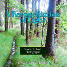 Load image into Gallery viewer, A Reconciliation of Light Book Books by Dawn