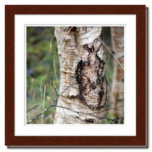 Load image into Gallery viewer, Again She Dances Among the Trees ☼ Soul of Nature {Photo Print} Photo Print New Dawn Studios 8x10 Framed
