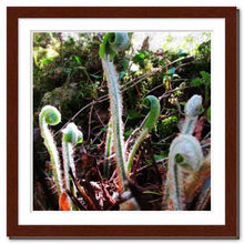Load image into Gallery viewer, Belonging ☼ Soul of Nature {Photo Print} Photo Print New Dawn Studios 12x12 Framed