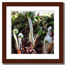 Load image into Gallery viewer, Belonging ☼ Soul of Nature {Photo Print} Photo Print New Dawn Studios 8x8 Framed