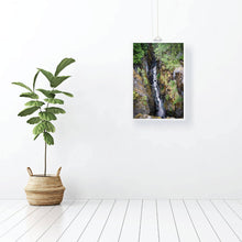 Load image into Gallery viewer, Box Canyon of the Cowlitz ☼ Soul of Nature {Photo Print} Photo Print New Dawn Studios
