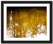 Load image into Gallery viewer, Nostalgic and All That Fades ☼ Soul of Nature {Photo Print} Photo Print New Dawn Studios