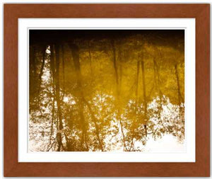 Nostalgic and All That Fades ☼ Soul of Nature {Photo Print} Photo Print New Dawn Studios 8x12 Framed 