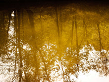 Load image into Gallery viewer, Nostalgic and All That Fades ☼ Soul of Nature {Photo Print} Photo Print New Dawn Studios 8x12 Unframed