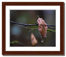 Load image into Gallery viewer, Shared Sorrow ☼ Soul of Nature {Photo Print} Photo Print New Dawn Studios 8x10 Framed
