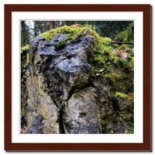 Load image into Gallery viewer, Through All the Ages ☼ Soul of Nature {Photo Print} Photo Print New Dawn Studios 12x12 Framed