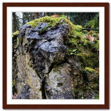 Load image into Gallery viewer, Through All the Ages ☼ Soul of Nature {Photo Print} Photo Print New Dawn Studios 16x16 Framed 
