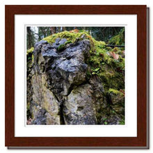 Load image into Gallery viewer, Through All the Ages ☼ Soul of Nature {Photo Print} Photo Print New Dawn Studios