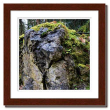 Load image into Gallery viewer, Through All the Ages ☼ Soul of Nature {Photo Print} Photo Print New Dawn Studios 8x8 Framed 
