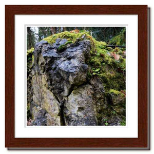 Through All the Ages ☼ Soul of Nature {Photo Print} Photo Print New Dawn Studios 8x8 Framed 