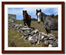 Load image into Gallery viewer, Two Horses at Knocknarae ☼ Soul of Ireland {Photo Print} Photo Print New Dawn Studios 11x14 Framed 
