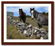 Load image into Gallery viewer, Two Horses at Knocknarae ☼ Soul of Ireland {Photo Print} Photo Print New Dawn Studios 11x14 Framed