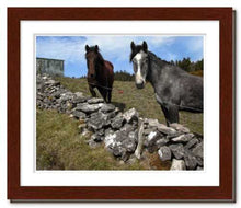 Load image into Gallery viewer, Two Horses at Knocknarae ☼ Soul of Ireland {Photo Print} Photo Print New Dawn Studios 8x10 Framed