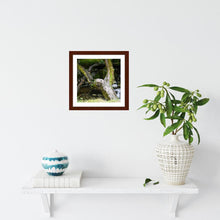 Load image into Gallery viewer, Upraised ☼ Faithscapes & Soul of Nature {Photo Print} Photo Print New Dawn Studios