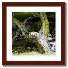 Load image into Gallery viewer, Upraised ☼ Faithscapes & Soul of Nature {Photo Print} Photo Print New Dawn Studios 8x8 Framed