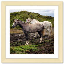 Load image into Gallery viewer, Working Together ☼ Soul of Ireland Horses {Photo Print} Photo Print New Dawn Studios 10x10 Framed