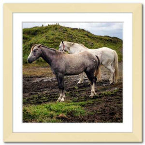Working Together ☼ Soul of Ireland Horses {Photo Print} Photo Print New Dawn Studios 10x10 Framed 