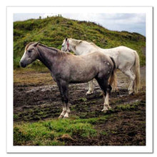 Load image into Gallery viewer, Working Together ☼ Soul of Ireland Horses {Photo Print} Photo Print New Dawn Studios 10x10 Unframed
