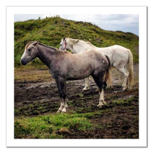 Load image into Gallery viewer, Working Together ☼ Soul of Ireland Horses {Photo Print} Photo Print New Dawn Studios 8x8 Unframed