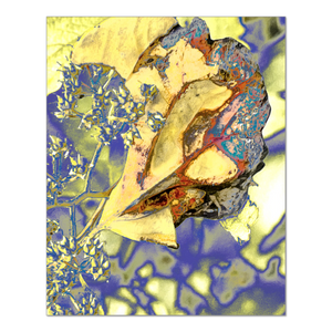 AugustQueen 8x10 Alterations Most True Print