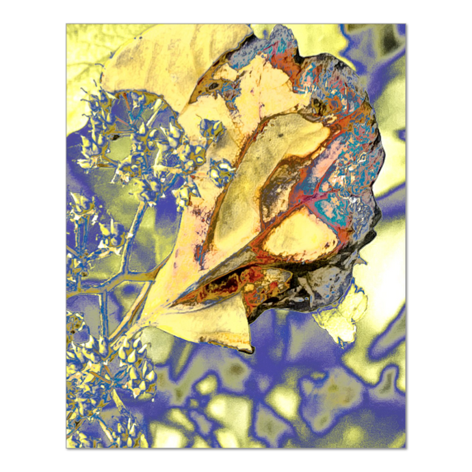 AugustQueen 8x10 Alterations Most True Print