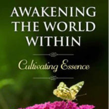 Load image into Gallery viewer, Awakening the World Within Book - Books by Dawn Richerson
