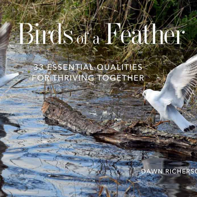 Birds of a Feather - Books by Dawn Richerson