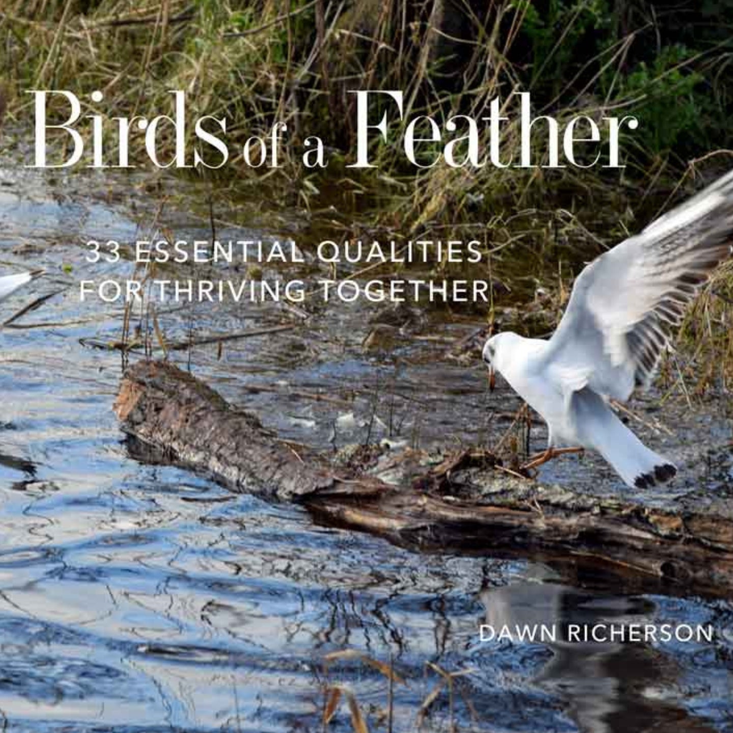 Birds of a Feather - Thriving Together - A Collective Life Thriving Book by Dawn Richerson
