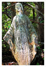 Load image into Gallery viewer, Our Lady of the Silent Forest - faith photo - mother mary -12x18
