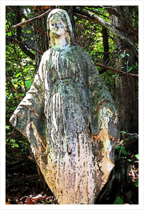 Our Lady of the Silent Forest - faith photo - mother mary -12x18