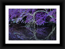 Load image into Gallery viewer, WHERE WE MEET AGAIN ☼ Alterations Most True {Photo Print} 12x8 Framed
