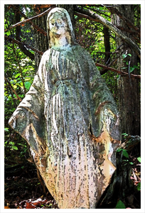 Our Lady of the Silent Forest - faith photo - mother mary -16x24