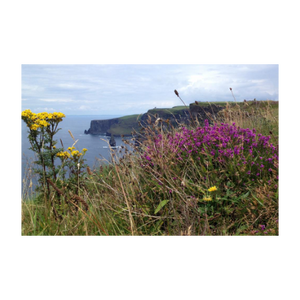 Day's Delight Cliffs of Moher ☼ Soul of Ireland {Photo Print} Photo Print New Dawn Studios County Clare Ireland photo 4x5
