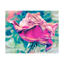 Load image into Gallery viewer, SHE RIDES ON THE ROSE-PETALLED DRAGON ☼ Winter Walk #3 Nature of Rest {Photo Print}
