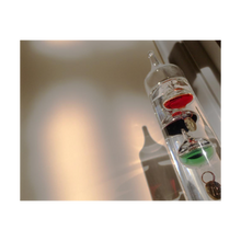 Load image into Gallery viewer, The Long Silent Year - Life &amp; Art in the Time of Coronavirus - Galileo Thermometer Photo Time slows down - Dawn Richerson Photography 4x5
