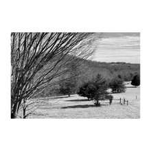 Load image into Gallery viewer, A FIERCE WIND BLEW ☼ Winter Walk #1 Nature of Rest {Photo Print} 4x6
