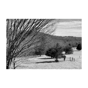 A FIERCE WIND BLEW ☼ Winter Walk #1 Nature of Rest {Photo Print} 4x6