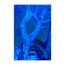 Load image into Gallery viewer, REUNION TREE ☼ Alterations Most True Art Print 4x6
