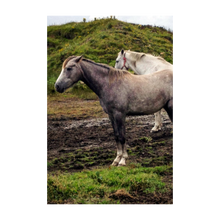 Load image into Gallery viewer, Working Together - Two Horses - Soul of Ireland Photo Dawn Richerson 4x6
