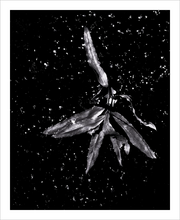 Load image into Gallery viewer, Angel of the Starry Night - Angel Leaf Photo Dawn Richerson Photography 8x10

