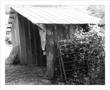 Load image into Gallery viewer, Life at the Barn photograph Blue Ridge Parkway black and white photo 8x10
