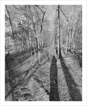 Load image into Gallery viewer, Love Time Space shadow tree photograph black and white photo 8x10 hiking Blue Ridge Parkway
