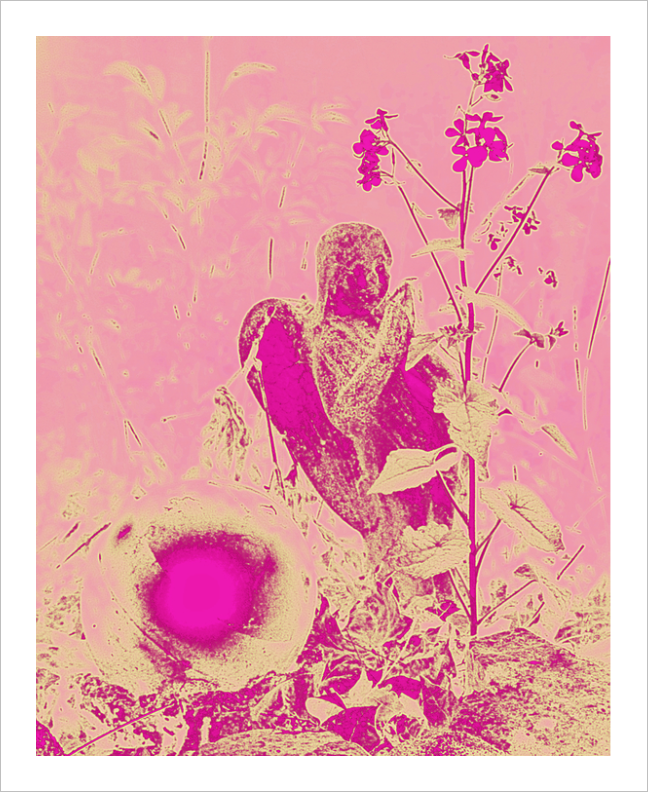 Pink Dawn Fairy - Fairy Wonderland Ireland Design Print - Alterations Most True Photo by Dawn Richerson 8x10