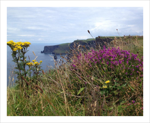 Load image into Gallery viewer, Day&#39;s Delight Cliffs of Moher ☼ Soul of Ireland {Photo Print} Photo Print New Dawn Studios County Clare Ireland photo 8x10 
