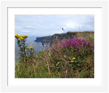 Load image into Gallery viewer, Day&#39;s Delight Cliffs of Moher ☼ Soul of Ireland {Photo Print} Photo Print New Dawn Studios County Clare Ireland photo 8x10 framed
