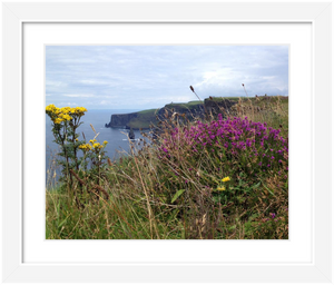 Day's Delight Cliffs of Moher ☼ Soul of Ireland {Photo Print} Photo Print New Dawn Studios County Clare Ireland photo 8x10 framed