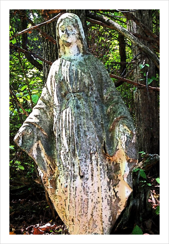 Our Lady of the Silent Forest - faith photo - mother mary -8x12