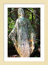 Load image into Gallery viewer, Our Lady of the Silent Forest - faith photo - mother mary -8x12 framed
