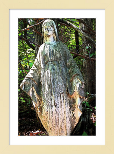 Our Lady of the Silent Forest - faith photo - mother mary -8x12 framed